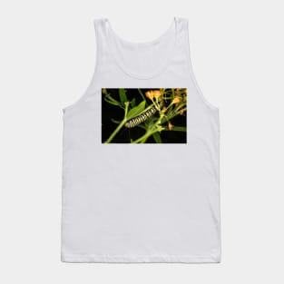 Monarch Caterpillar 3 Tank Top